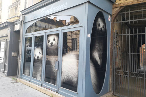 Habillage vitrines personnalisées centre-ville de Rennes