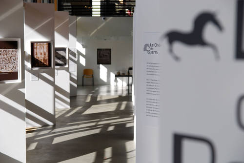 Exposition temporaire : Le Cheval dans le Monde Romain (2014)
