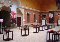 La saison des Rhododendrons - Exposition et visite guidée au Domaine de Trévarez