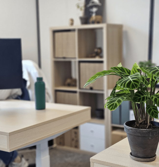 Photo des bureaux chauffés grâce à l'énergie solaire