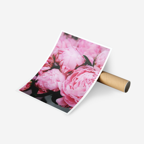 tirage photo grand format d'une photo de fleurs roses