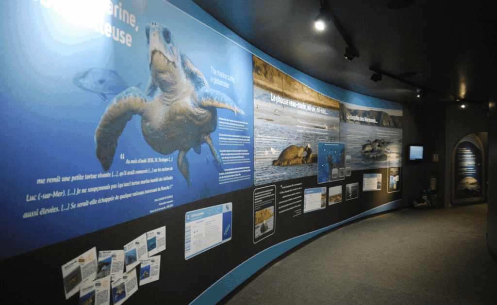 Cadre pour tissu tendu grand format dans un musée
