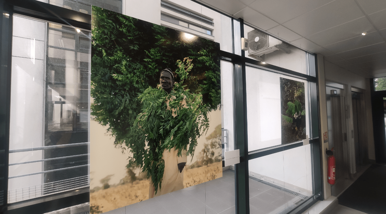 Exposition photo sur panneau élingué