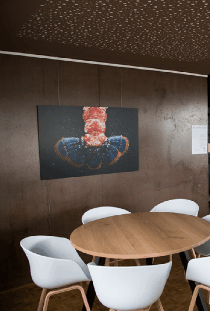 Photo décorative grand format accrochée sur un mur